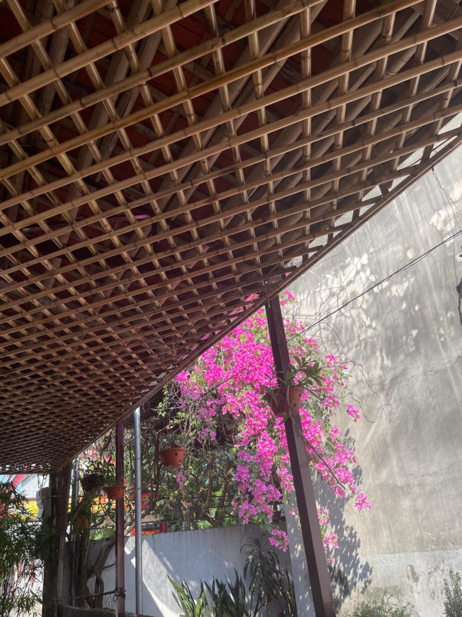 Thuy Xuyen Tam Coc Homestay Vu Lam Eksteriør bilde