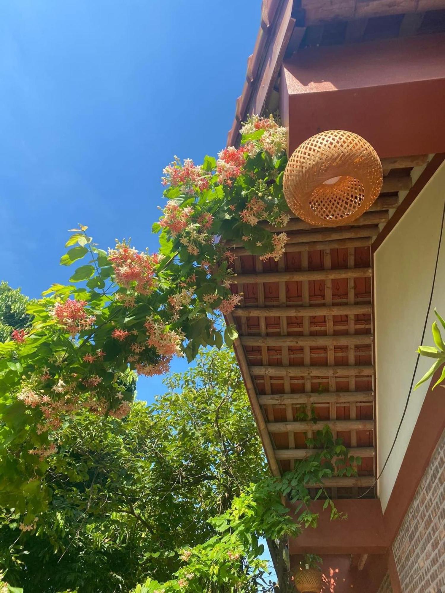 Thuy Xuyen Tam Coc Homestay Vu Lam Eksteriør bilde