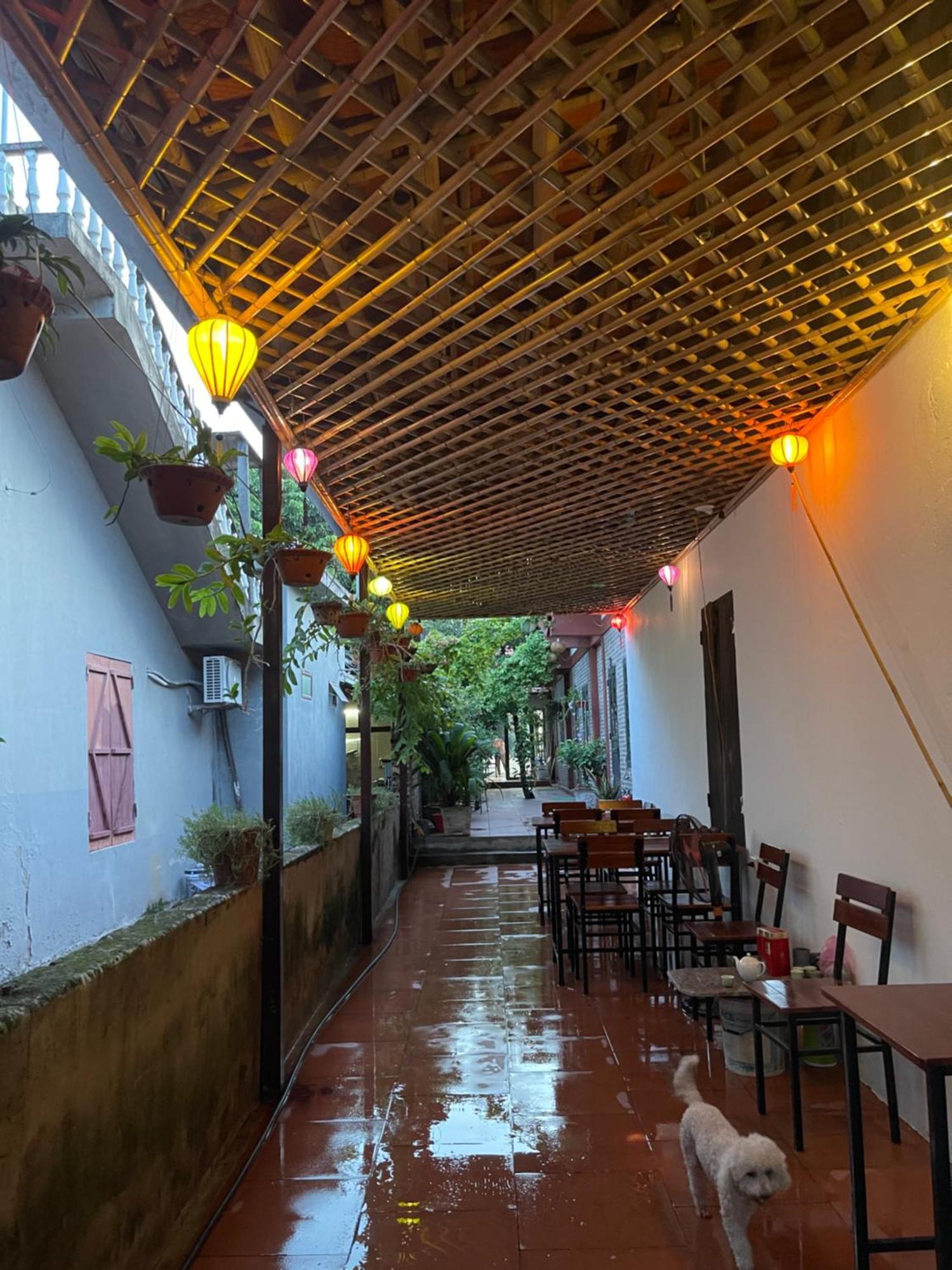 Thuy Xuyen Tam Coc Homestay Vu Lam Eksteriør bilde